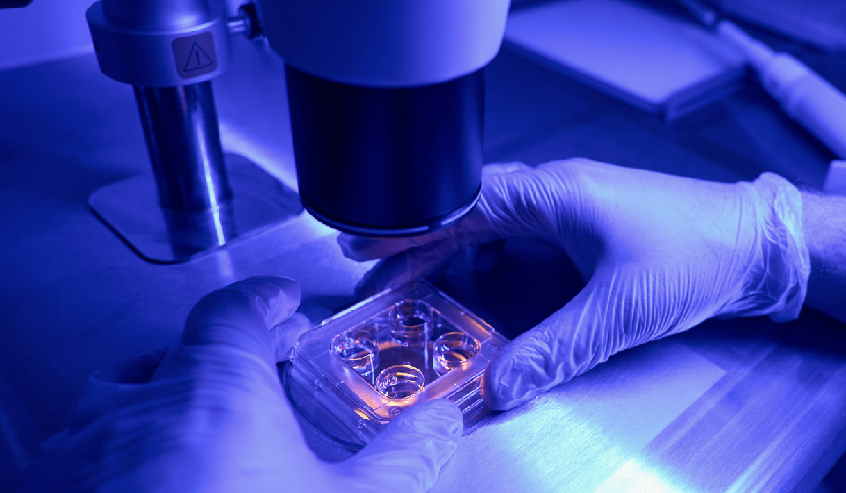 Hands holding something under a microscope.